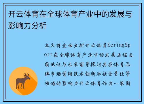 开云体育在全球体育产业中的发展与影响力分析